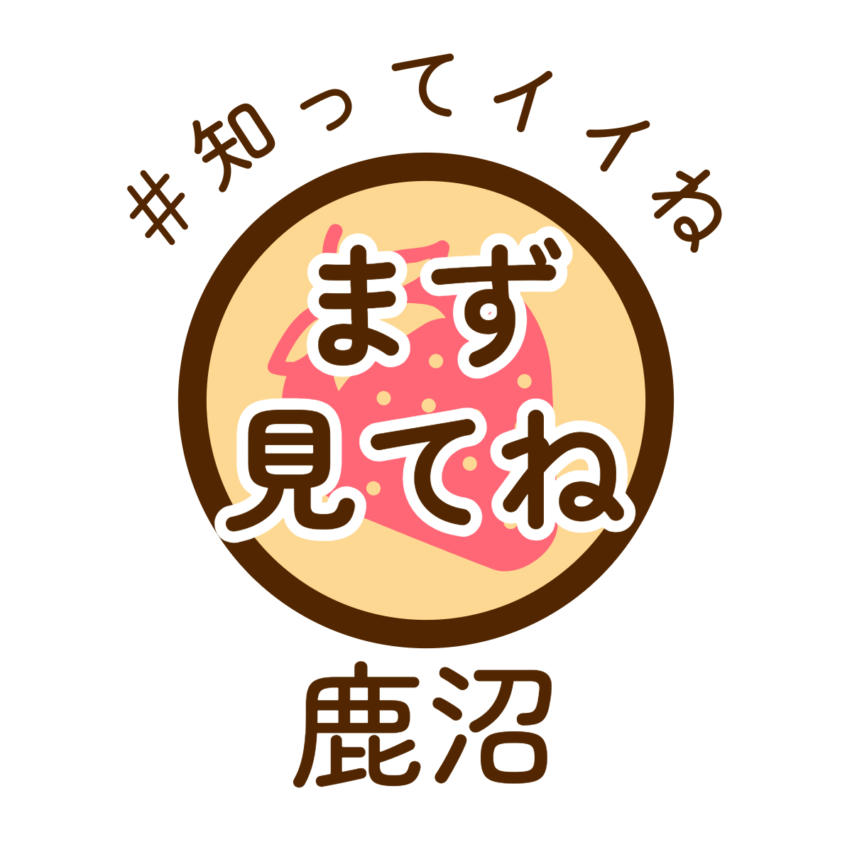 t.hirota